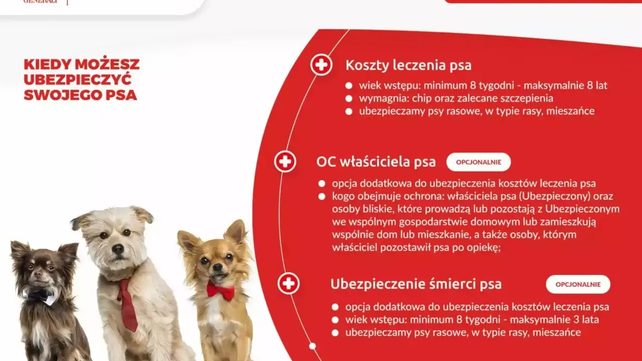 Trzy urocze psy w eleganckich muszkach i krawacie. Czy warto mieć psa? Ubezpieczenie psa od Generali to spokój dla Ciebie i Twojego pupila.