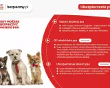 Trzy urocze psy w eleganckich muszkach i krawacie. Czy warto mieć psa? Ubezpieczenie psa od Generali to spokój dla Ciebie i Twojego pupila.