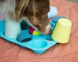 Pies szuka smakołyków ukrytych pod kolorowymi kubeczkami w foremce do muffinek. Proste, domowe zabawki dla psa diy.