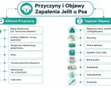 Schemat przedstawia przyczyny zapalenia jelit u psa: błędy dietetyczne, infekcje, alergie, stres, choroby autoimmunologiczne, leki, ciała obce. Objawy to biegunka, wymioty, utrata apetytu, spadek masy ciała, ból brzucha, osłabienie, odwodnienie, gorączka.