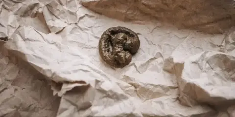 Kupa kota z widoczną krwią w kale. Zmarszczony papier w tle.