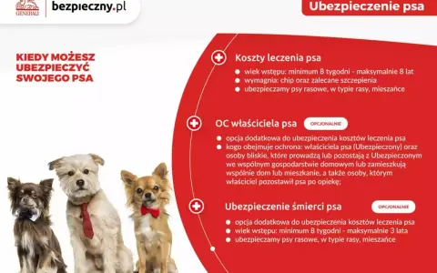 Trzy urocze psy w eleganckich muszkach i krawacie. Czy warto mieć psa? Ubezpieczenie psa od Generali to spokój dla Ciebie i Twojego pupila.