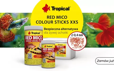 FMC dla ryb Tropical Red Mico Colour Sticks XXS – bezpieczna alternatywa dla żywej ochotki. Intensywne kolory ryb gupików.