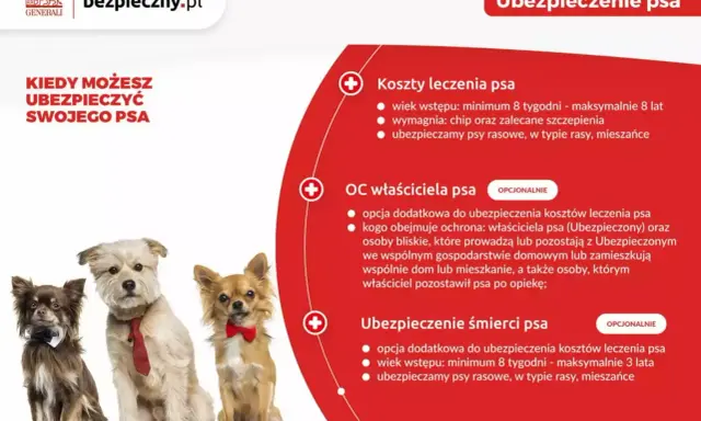 Trzy urocze psy w eleganckich muszkach i krawacie. Czy warto mieć psa? Ubezpieczenie psa od Generali to spokój dla Ciebie i Twojego pupila.