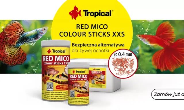 FMC dla ryb Tropical Red Mico Colour Sticks XXS – bezpieczna alternatywa dla żywej ochotki. Intensywne kolory ryb gupików.