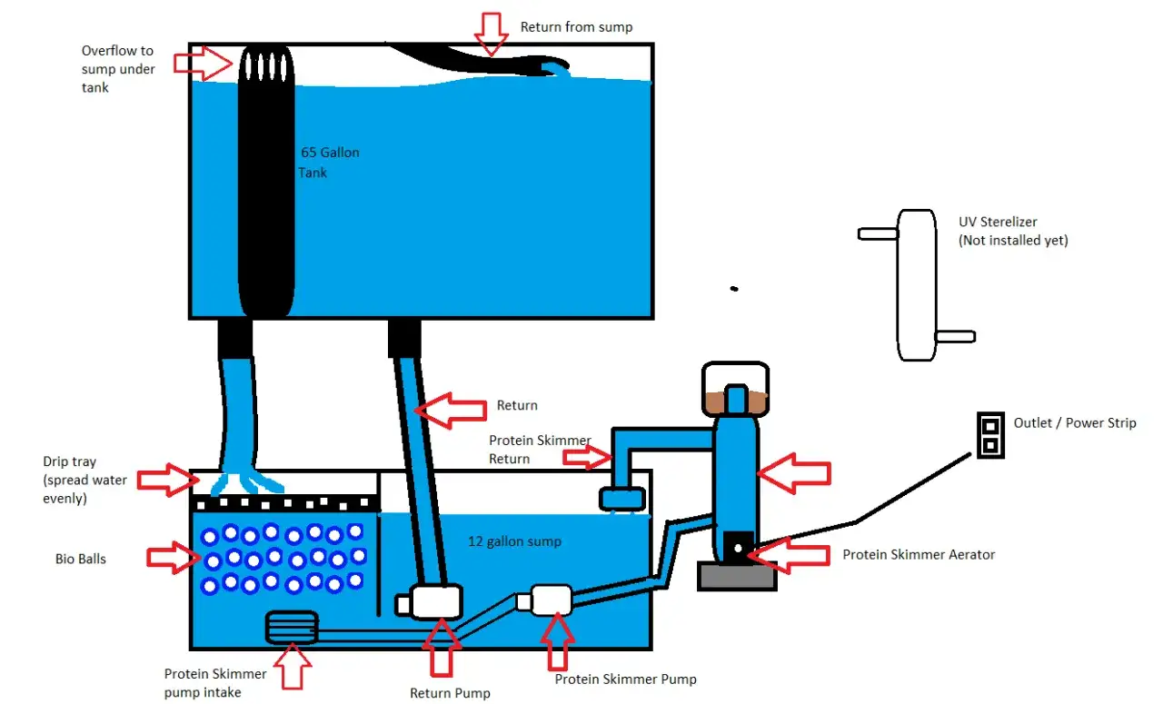 Schemat akwarium z sump. Wady i zalety lampy UV w akwarium: sterylizator UV (nie zainstalowany) może pom&oacute;c w walce z glonami i patogenami.